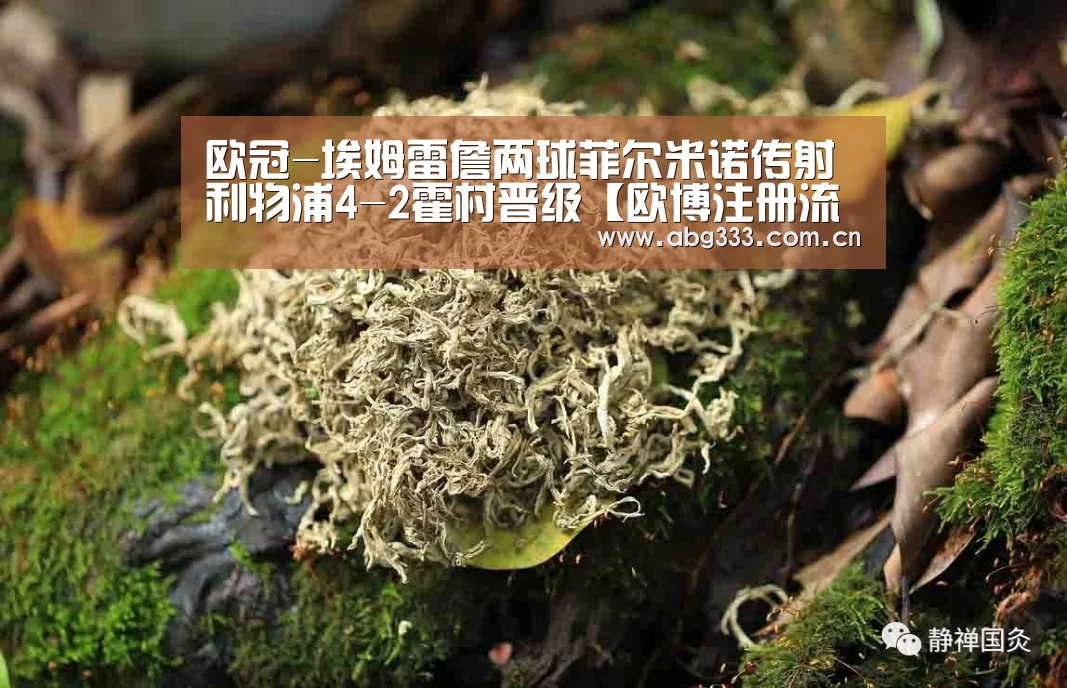 欧博注册流程