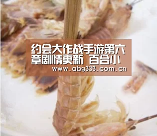 欧博