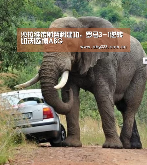 欧博ABG